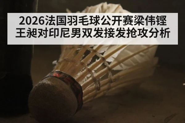 2026法国羽毛球公开赛梁伟铿王昶对印尼男双发接发抢攻分析